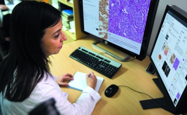 Tumorkonferenzen virtuell abhalten