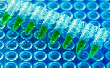 Tork Nachhaltige Hygiene