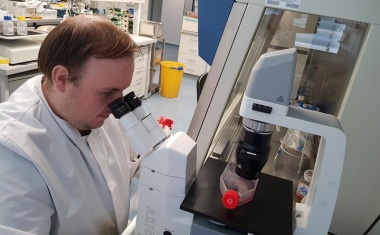Malaria-Medikament Chloroquin hemmt SARS-CoV-2 nicht