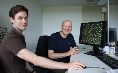 Schneller Test für neutralisierende Antikörper gegen Sars-Cov-2