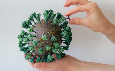 Coronaviren zum Anfassen