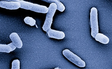 Neuer Ansatzpunkt im Kampf gegen Antibiotika-Resistenzen