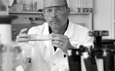 COVID-19: Empa-Forscher Peter Wick äußert sich im Interview zu Antikörperstudien