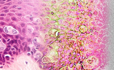 Plattform für KI in der Diagnostik