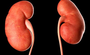 Chronische Nierenerkrankung