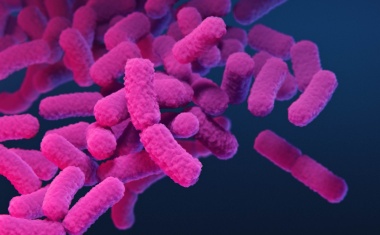 Aus der Corona-Pandemie für die Eindämmung anderer Infektionen lernen