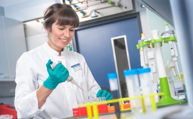 Malaria: Versteckspiel in der Trockenzeit