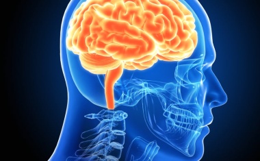 Darm-Hirn-Achse beeinflusst Multiple Sklerose