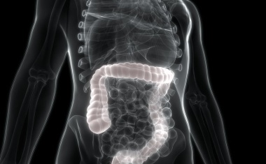 Wo das Coronavirus im Darm andockt