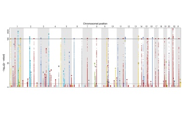 Die menschlichen Helfer von SARS-CoV-2