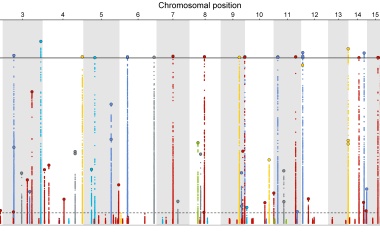 Die menschlichen Helfer von SARS-CoV-2