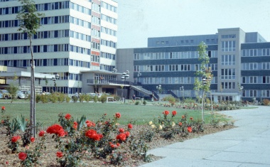 Wie vor 40 Jahren alles seinen Anfang nahm