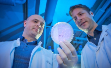 Vielversprechende Antikörper gegen SARS-CoV-2