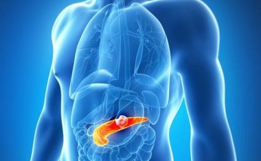 Uniklinikum Würzburg: Neue Chancen für Patienten mit Bauchspeicheldrüsenkrebs