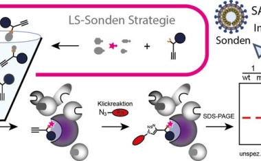Effektivere Screening-Methode
