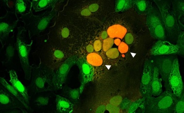Messen, was verbindet