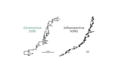 Müssen COVID-19-Impfstoffe zukünftig regelmäßig neu angepasst werden?