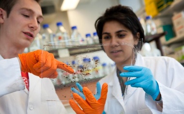 DAAD fördert Deutsch-Lateinamerikanisches Forschungszentrum