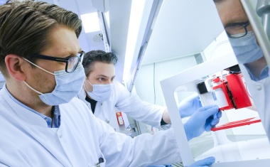 Herz-Bypässe aus dem Biodrucker