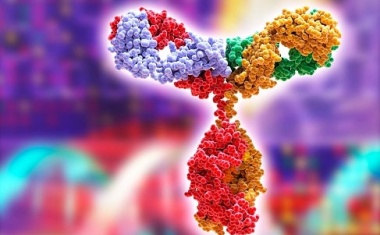 Laborärzte bestärken Vorbehalte gegenüber Antigen-Schnelltests