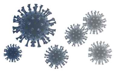 Gesichertes Wissen über COVID-19