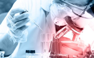 Dedalus übernimmt die OSM AG