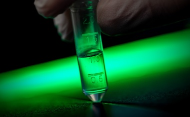 Neuer Corona-Massentest bis zu 100-mal empfindlicher