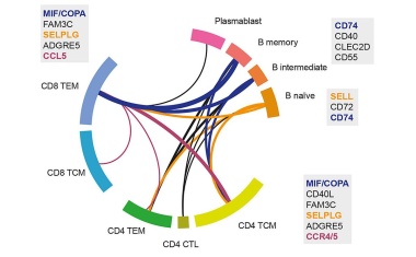 Einblick in die Pathologie IgG4-assoziierter Erkrankungen