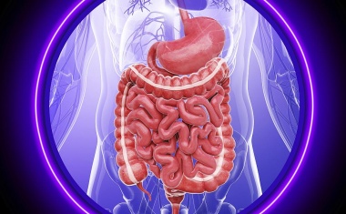 Durchbruch für die Behandlung der Zöliakie