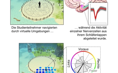 Eine egozentrierte Raumkarte im menschlichen Gehirn