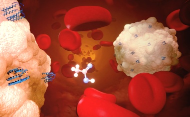 Neue Strategie gegen Sepsis