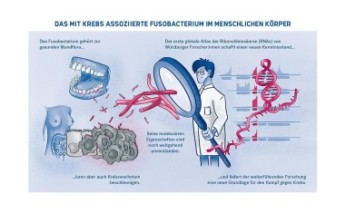 Genaktivitäten eines Mundhöhlenkeims kartiert