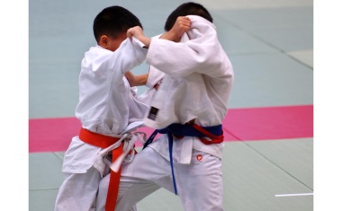 Wirbelsäulenverletzungen im Reitsport und Zweikampf