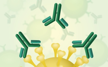 Immunreaktion nach COVID-19-Impfung