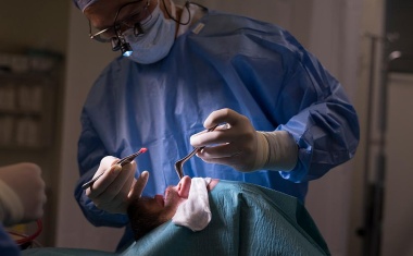 Nasenknorpel lindert Arthrose im Knie