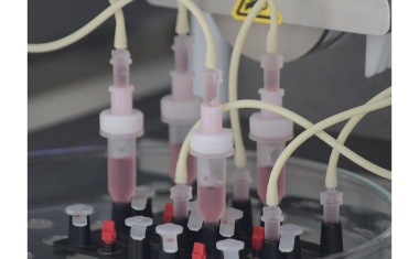 Neue Testsysteme für die Impfstoffentwicklung
