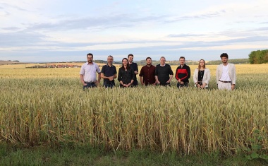 WeCaRe entwickelt für Thüringen ein Telemedizin-Innovationslabor