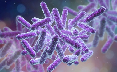 Referenzzentrum veröffentlicht Bericht zu multiresistenten Erregern