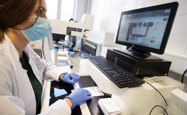 Getrocknete Blutstropfen