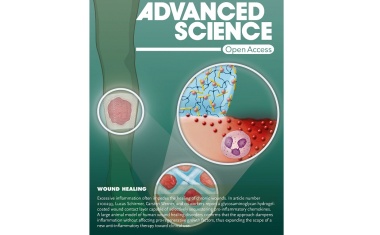 Chemokin-bindende Wundauflage ermöglicht Heilung der Haut bei chronischen Entzündungen