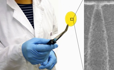 Neuer Sensor für SARS-CoV-2 und andere Viren