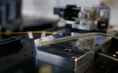 Faser-Endoskop ermöglicht Echtzeit-Diagnose