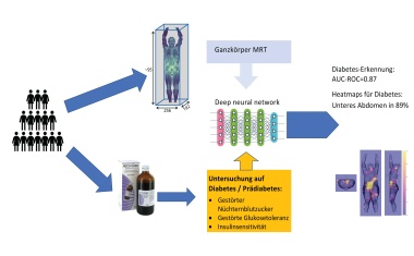 Diabetes mit Ganzkörper-Magnetresonanztomographie erkennen