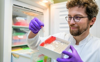 MHH: Neuer Test verbessert Diagnose von seltener Lebererkrankung