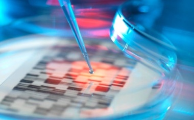 Versandservice für die Forschung als Geschäftsidee