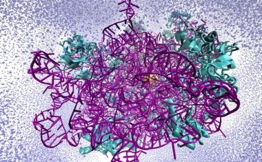 Supercomputer im Kampf gegen Antibiotikaresistenzen