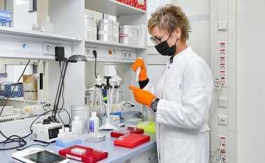 Wichtige genetische Veranlagungen für akute myeloische Leukämie entdeckt