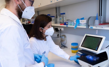 Protein ZAP hemmt Vermehrung von SARS-CoV-2 um das 20-Fache