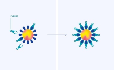 Ein Medikament gegen SARS-CoV-2