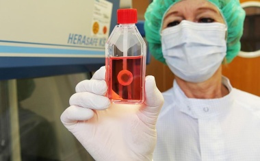 Uniklinikum Würzburg bei Gewebespenden bundesweit führend